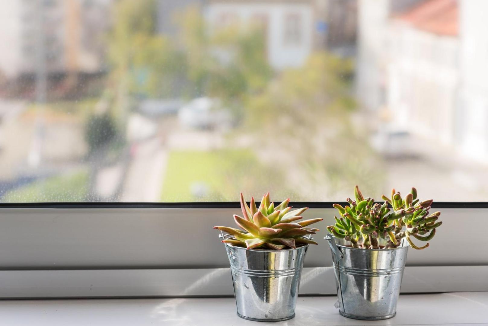 Guestready - Assuntos De Recreio Leilighet Porto Eksteriør bilde